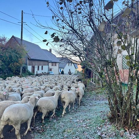 Gite De Montagne -Bellefosse Alsace Ngoại thất bức ảnh