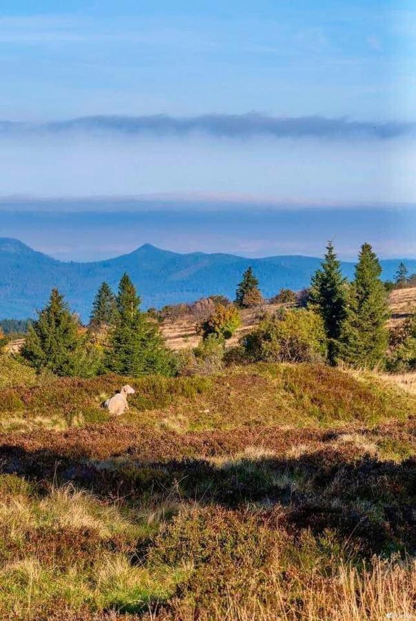 Gite De Montagne -Bellefosse Alsace Ngoại thất bức ảnh
