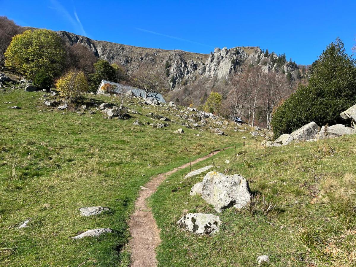 Gite De Montagne -Bellefosse Alsace Ngoại thất bức ảnh