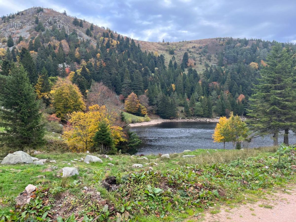 Gite De Montagne -Bellefosse Alsace Ngoại thất bức ảnh