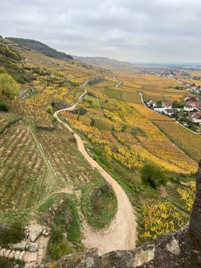 Gite De Montagne -Bellefosse Alsace Ngoại thất bức ảnh