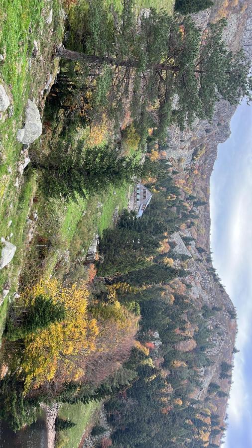 Gite De Montagne -Bellefosse Alsace Ngoại thất bức ảnh