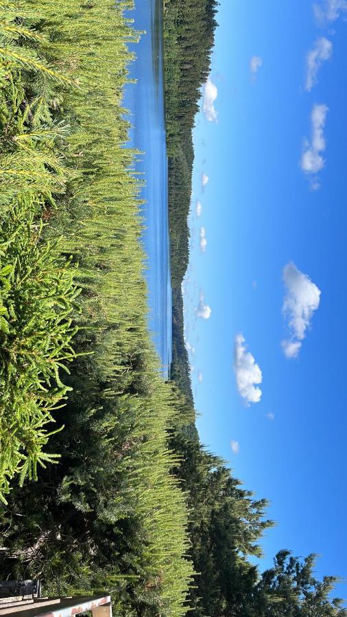 Gite De Montagne -Bellefosse Alsace Ngoại thất bức ảnh