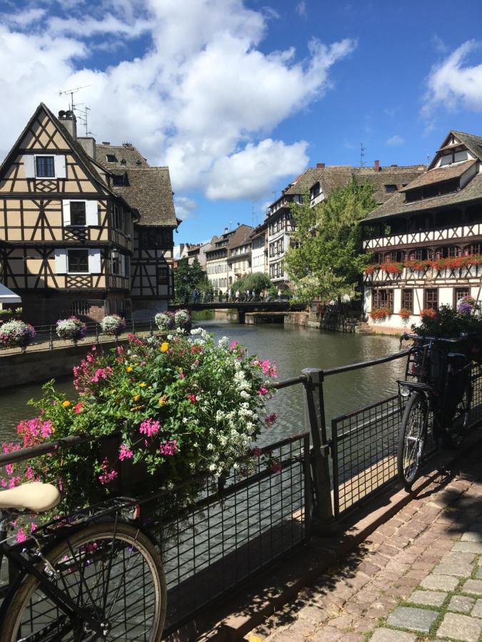 Gite De Montagne -Bellefosse Alsace Ngoại thất bức ảnh