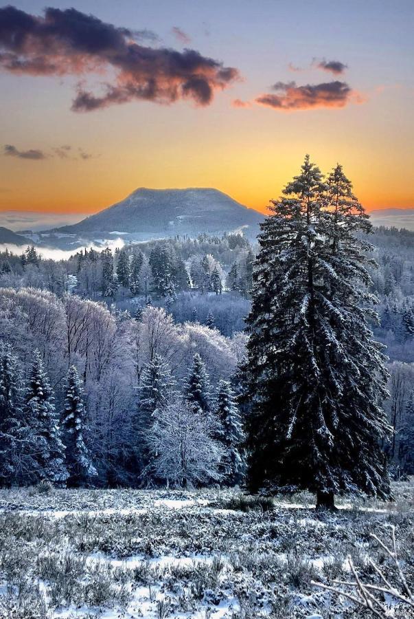 Gite De Montagne -Bellefosse Alsace Ngoại thất bức ảnh