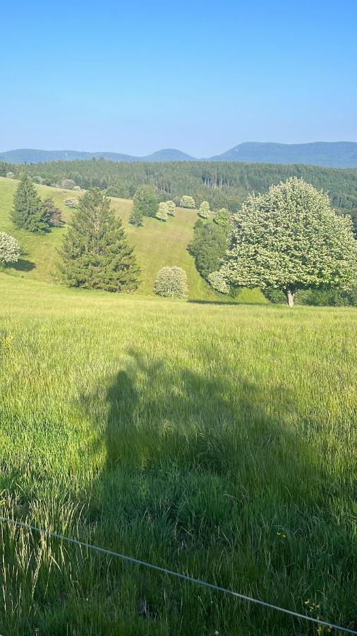 Gite De Montagne -Bellefosse Alsace Ngoại thất bức ảnh