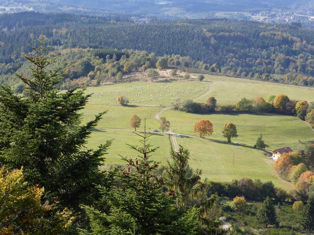 Gite De Montagne -Bellefosse Alsace Ngoại thất bức ảnh