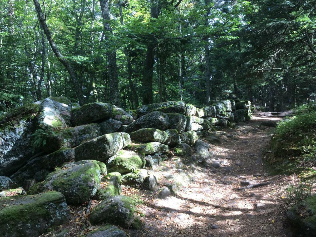 Gite De Montagne -Bellefosse Alsace Ngoại thất bức ảnh